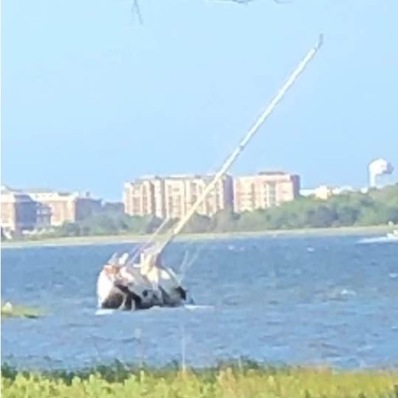 Pink zebra lemon simmer pot - Picture 6 of 6